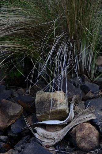 Rocky Drift Private Nature Reserve