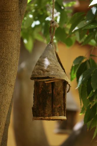 Hotel Rural Casa de Los Camellos - image 6