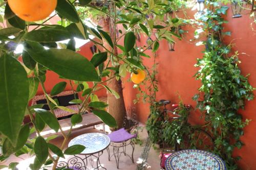Hotel la Boheme - image 13