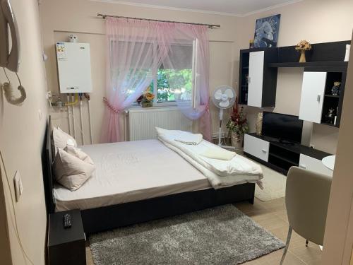 Studio Gaby, Satu Mare