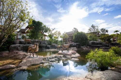 grădină, Thantara Resort Chiangmai in San Sai