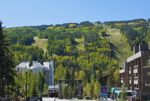 Vantage Point 210 Condo - image 6