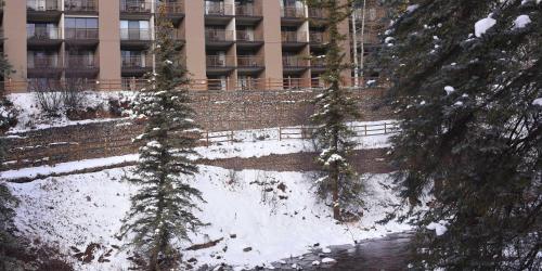 Wren #201 condo - image 13
