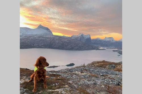 Unique holiday home in spectacular Efjord