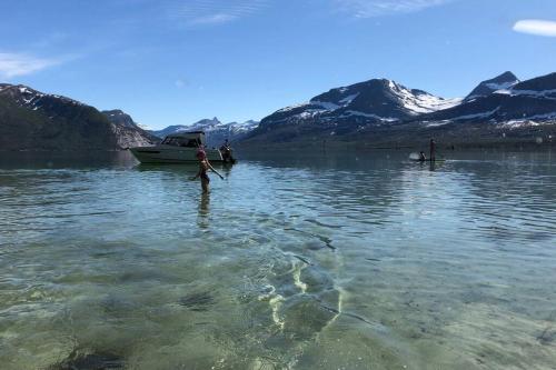 Unique holiday home in spectacular Efjord