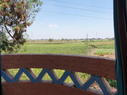 Rural Guest House فندق البيت الريفي Room Type - Double Room with Terrace