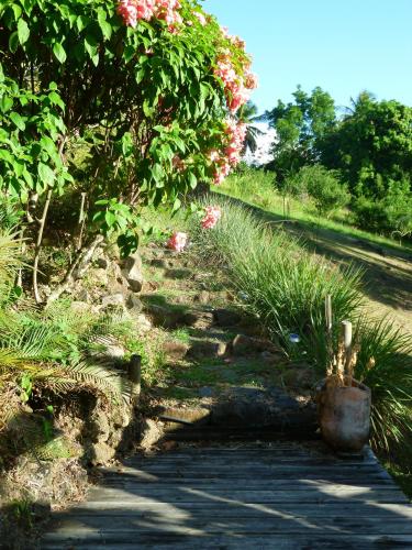 Les jardins de Cousinière - image 3