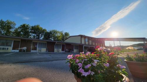 Sussex Motel in Wantage