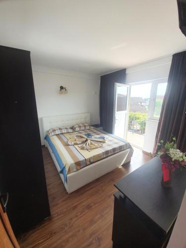 Vila Dana in Costinesti