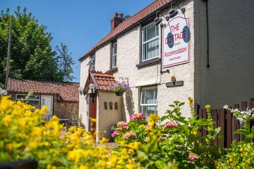 The Cottage - Accommodation - Bristol