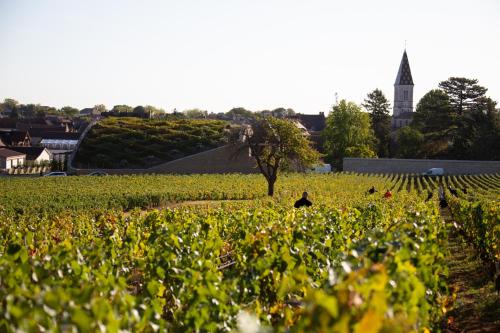 B&B Nuits-Saint-Georges - La maison d'Eva. Maison avec climatisation. - Bed and Breakfast Nuits-Saint-Georges