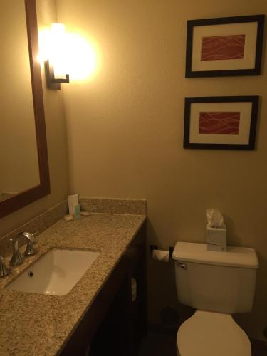 Comfort Inn Idaho Falls - image 12