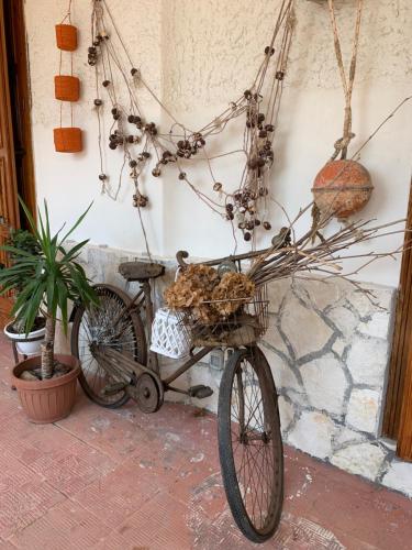 Villa Anna - image 8