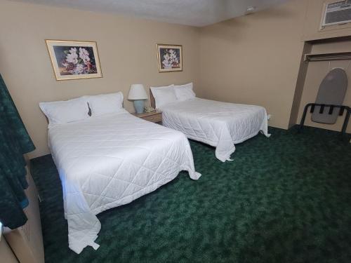 Medina Inn - image 4