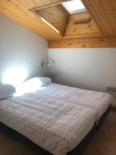 appartement in de Haute Savoie (Saint Jean de Sixt)