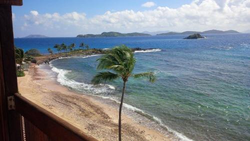 Luxury Sapphire Beach Resort and Marina 1BR VII in 雷德胡克