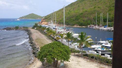 Luxury Sapphire Beach Resort and Marina 1BR VII in 雷德胡克