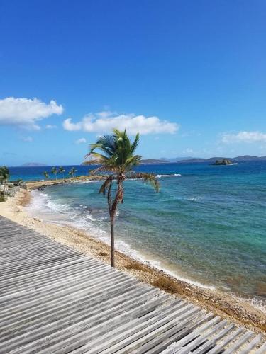 Luxury Sapphire Beach Resort and Marina 1BR VII in 雷德胡克