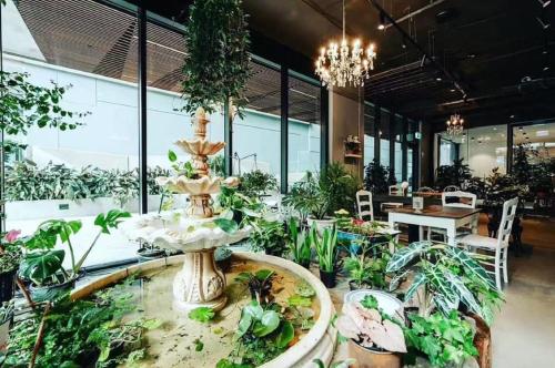 Restaurant, Quest North Sydney in North Sydney