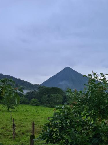 Tío Felix Eco Lodge, Fortuna (photo 4)