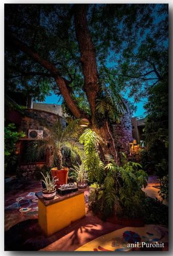 The Mandore - a leafy resort - 정원