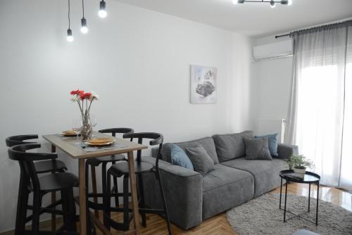 Apartment DobraYa Grey - Novi Sad