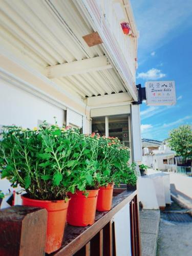 觀景山莊 新竹縣住宿推薦 Agoda