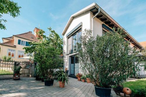 . Apartment im Weinparadies