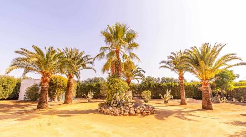Casa Rural Santa Ana en Marchena Sevilla