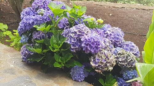 Finca La Gomera