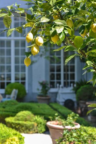 B&B The Verhaegen - image 14
