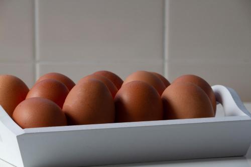 Hotel A.S. Lisboa - image 10