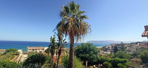Casa Calendule