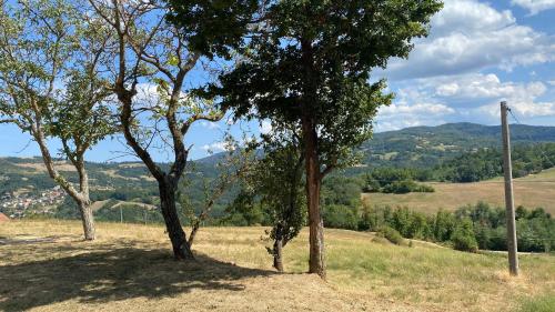 Agriturismo Il Casone