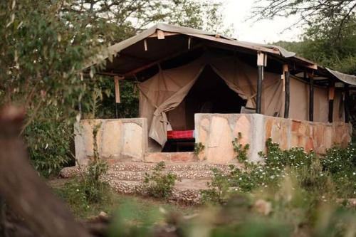 Semadep safari camp & backpackers