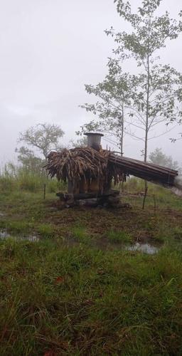 Eco Albergue Azul