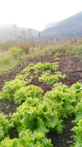 Eco Albergue Azul in Cuispes