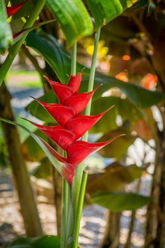 Lumeria Maui, Educational Retreat Center