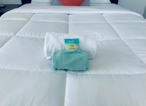 Adorable private apartments in the Heart of Miami! in Miami, USA