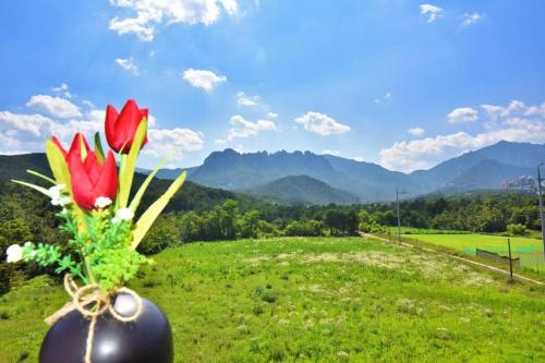 . Ulsanbawi Rock View Apartment