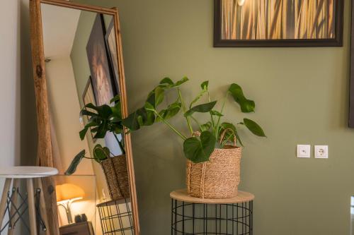 One-Bedroom Apartment image 9