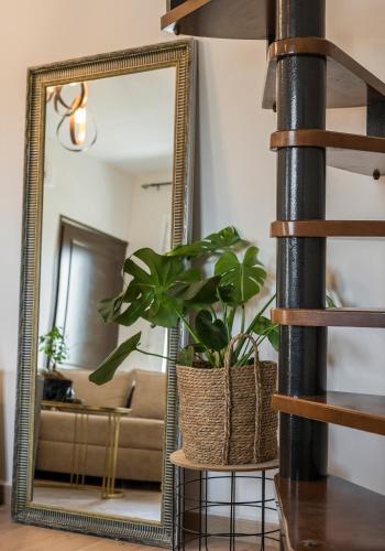 One-Bedroom Apartment image 8