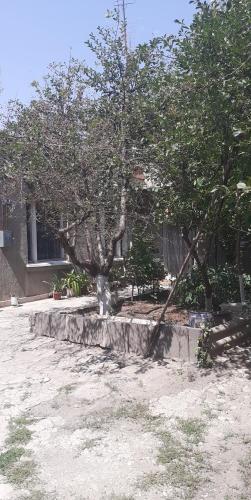 Guest House OTILIA in Gyumri