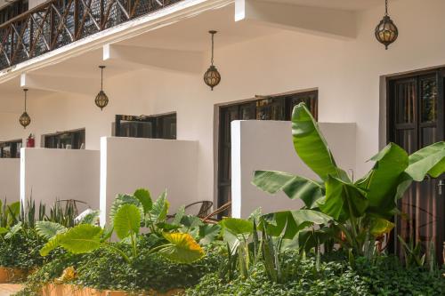 Amaan Beach Bungalows