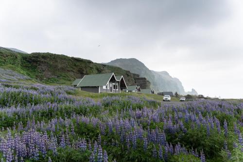 Exterior view, Vik Cottages in Vik i Myrdal