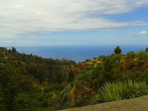 La Palma Sun Nudist