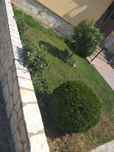 Hostel Vera - Airport Podgorica - image 12