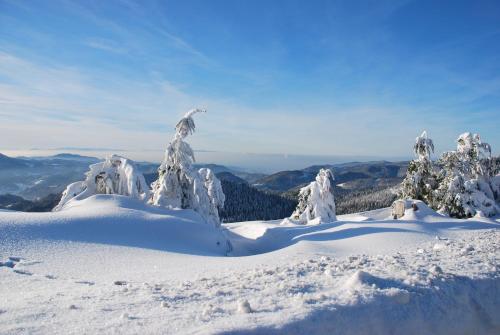 Közeli látványosságok, Hotel Adler in Freudenstadt