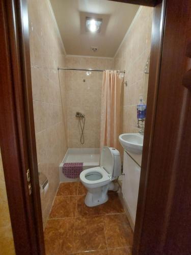 Bathroom, Otel' "Noi" in Dimitrovgrad