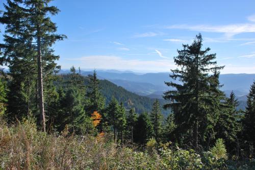 A környék, Hotel Adler in Freudenstadt